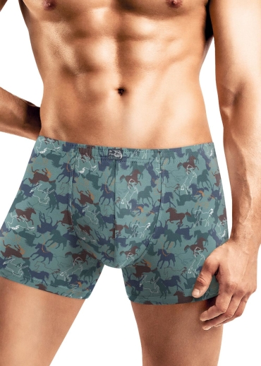 Шорты мужские Аллюр